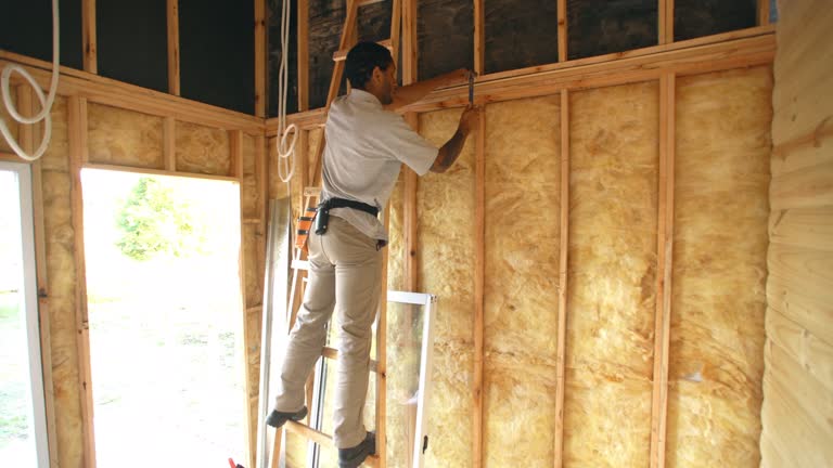 Reliable Bonham, TX Insulation Installation & Removal Solutions